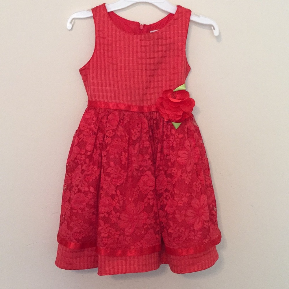 Sweet Heart Rose Dress for Girls Size 6X